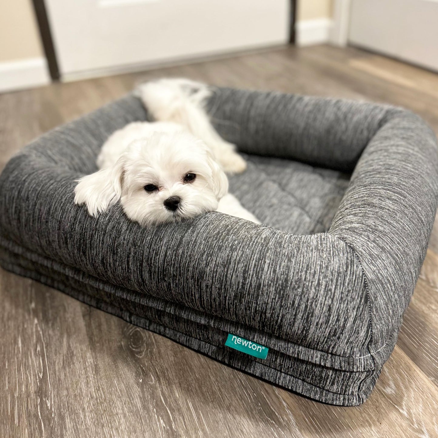 Orthopedic Pet Bed - Washable Dog Bed for Small Dogs Puppy Bed Crate Bed with Removable & Breathable Dog Bed Cover Comfy & Durable Dog Bed for Small to Large Dogs Dog Essentials Small